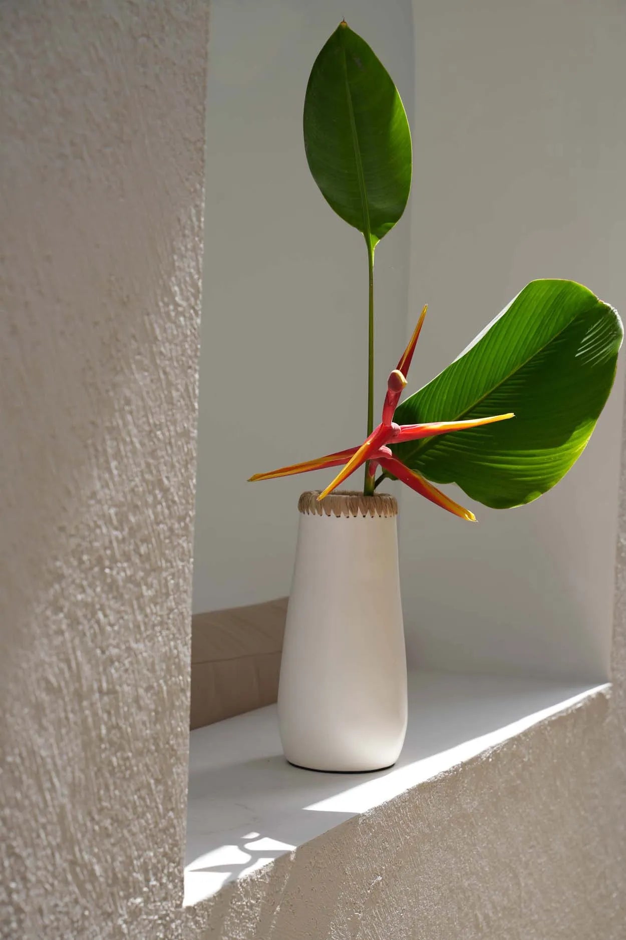 the-sneaky-vase-white-natural-l