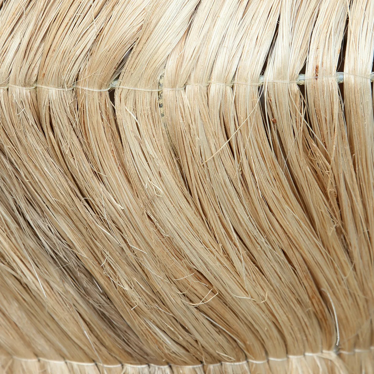 japa025n-m-30x45_5