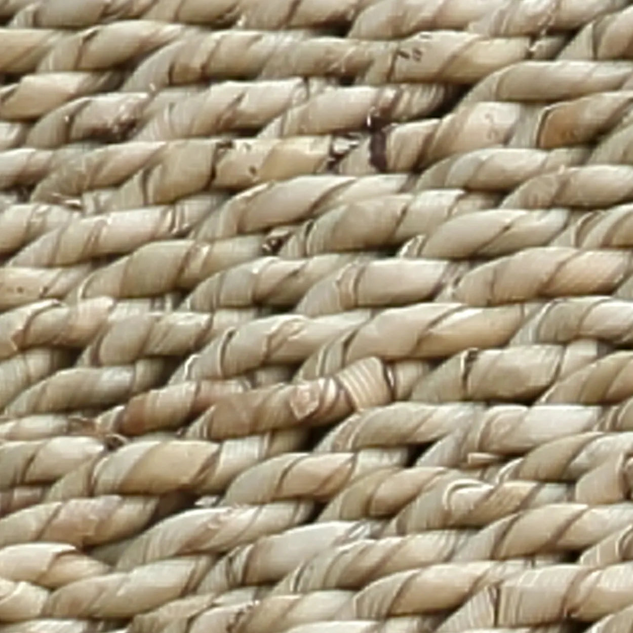 jaca011n-110_3
