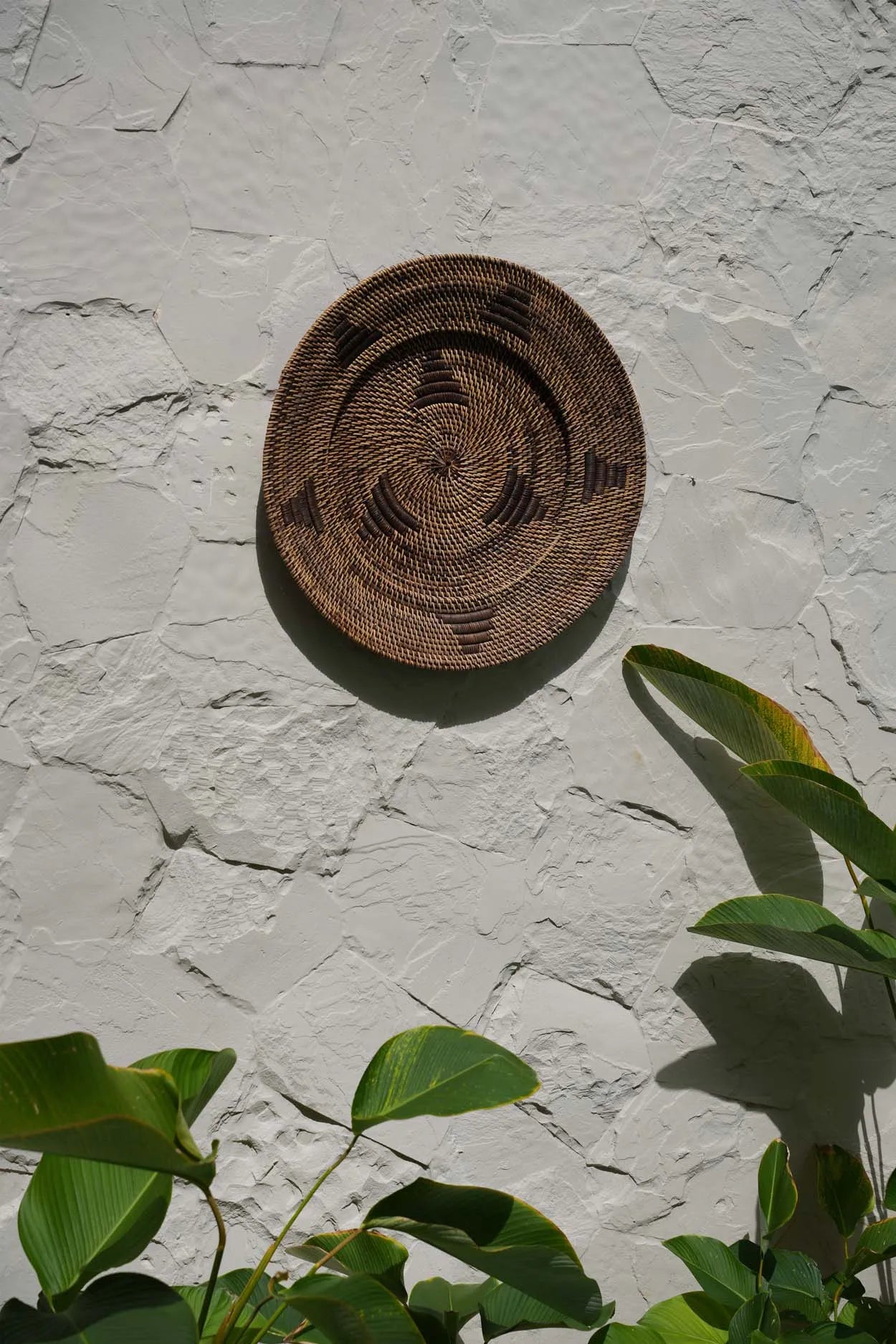 the-jasmine-plate-brown-m