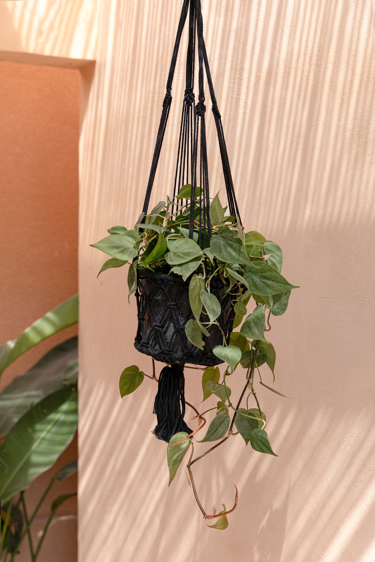 The Macrame Plant Holder - Black - M