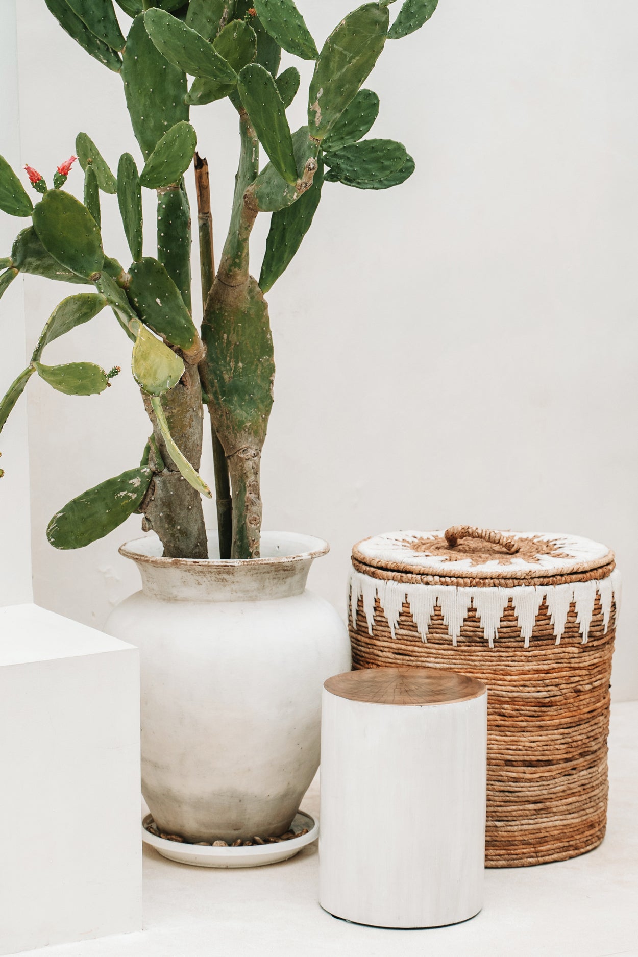 The Tribe Stool - Natural White